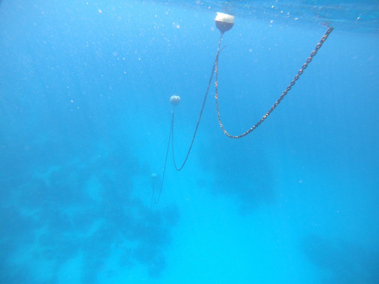 Floating chain um die Korallen zu schützen